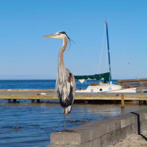 Choctawhatchee Bay