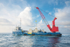 Limestone Coral Reef Deployed in Gulf